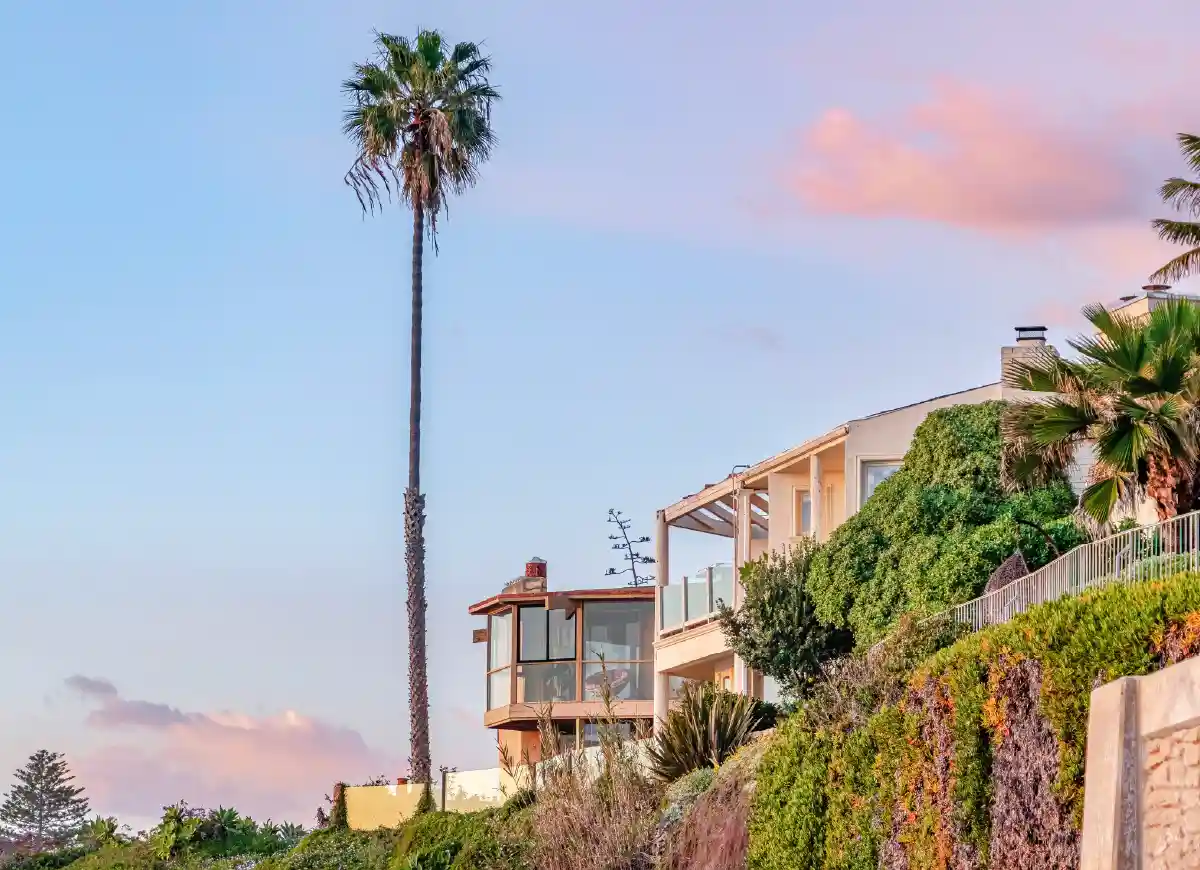 Hillside Los Angeles home framed by mature palms at sunset