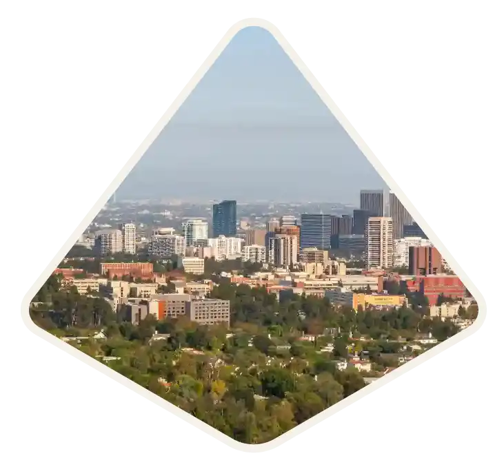 Leafy residential streets in the foreground with the Westwood skyline beyond, Brentwood, CA