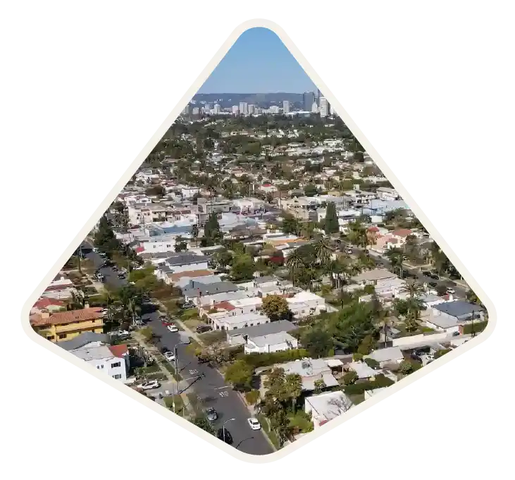 Aerial view of a dense single-family neighbourhood lined with palm trees in West Los Angeles, CA